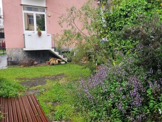 Appartamento in vendita a Querceta
