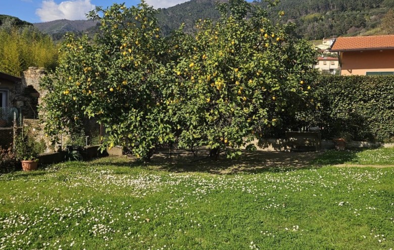 Villa singola in vendita a Seravezza
