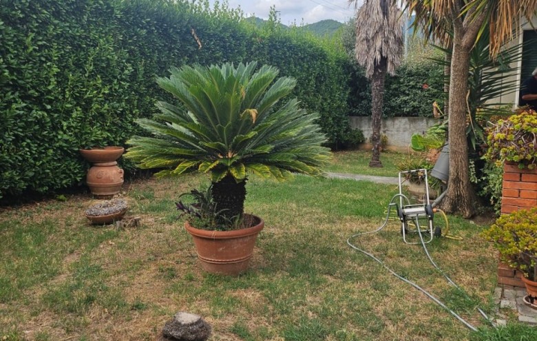 Villa singola in vendita a Seravezza