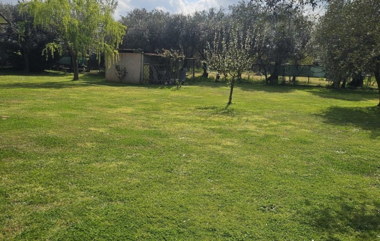 Villa singola in vendita a Seravezza