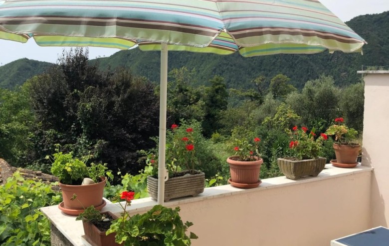 Terratetto in vendita a Seravezza