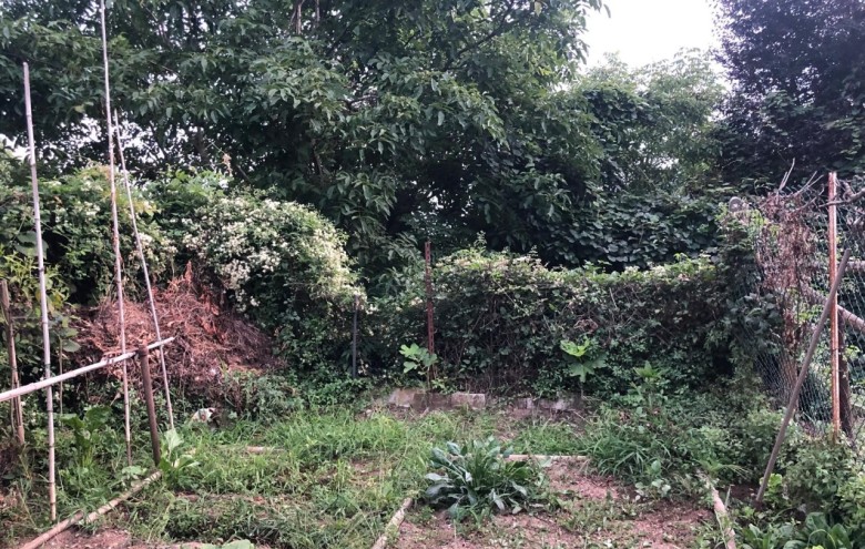 Terratetto in vendita a Seravezza