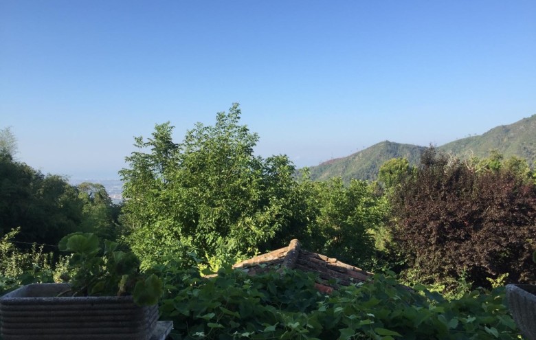 Terratetto in vendita a Seravezza