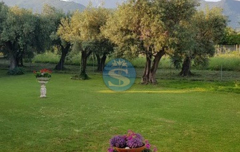 Villa singola in affitto a Forte dei Marmi