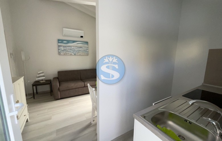 Villa singola in affitto a Pietrasanta