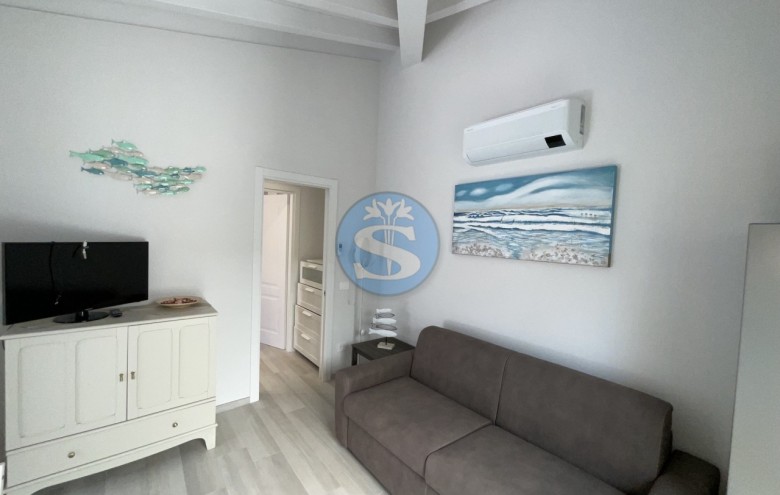 Villa singola in affitto a Pietrasanta