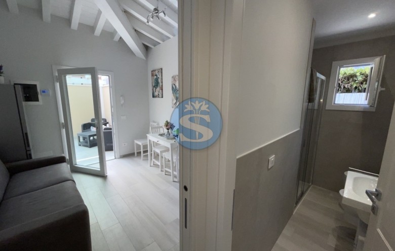 Villa singola in affitto a Pietrasanta