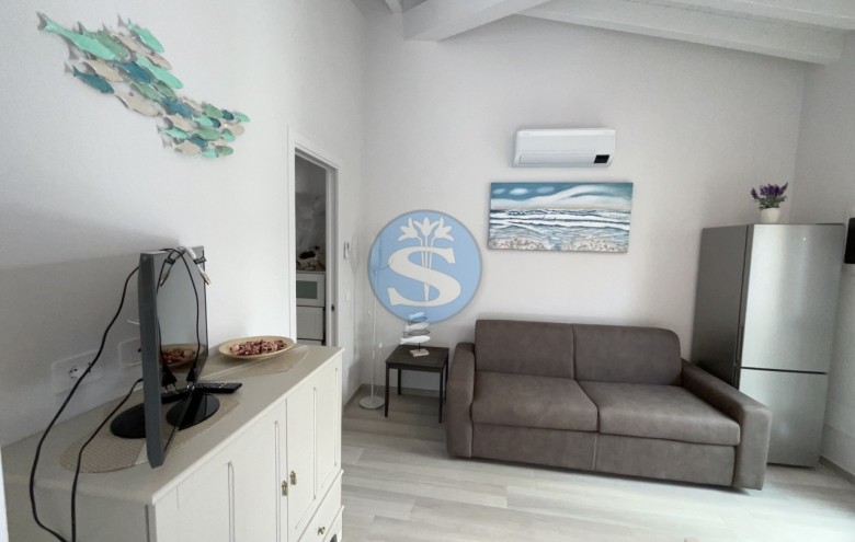 Villa singola in affitto a Pietrasanta