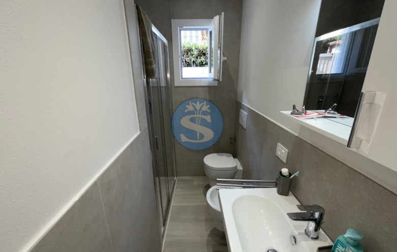 Villa singola in affitto a Pietrasanta