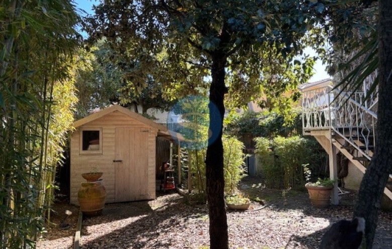 Appartamento in affitto a Pietrasanta