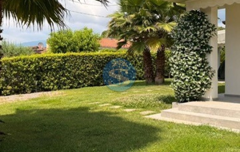 Villa singola in affitto a Pietrasanta