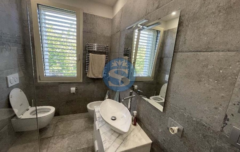 Villa singola in affitto a Pietrasanta