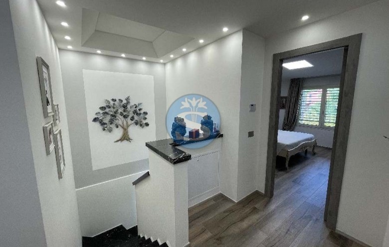 Villa singola in affitto a Pietrasanta