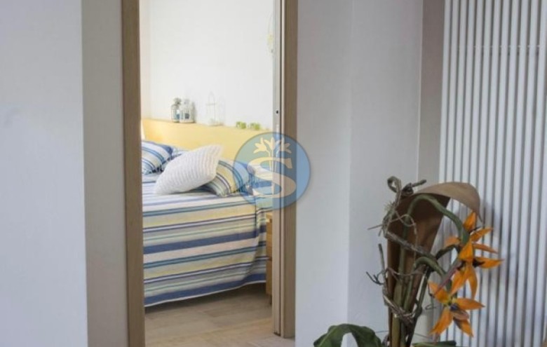 Appartamento in affitto a Pietrasanta