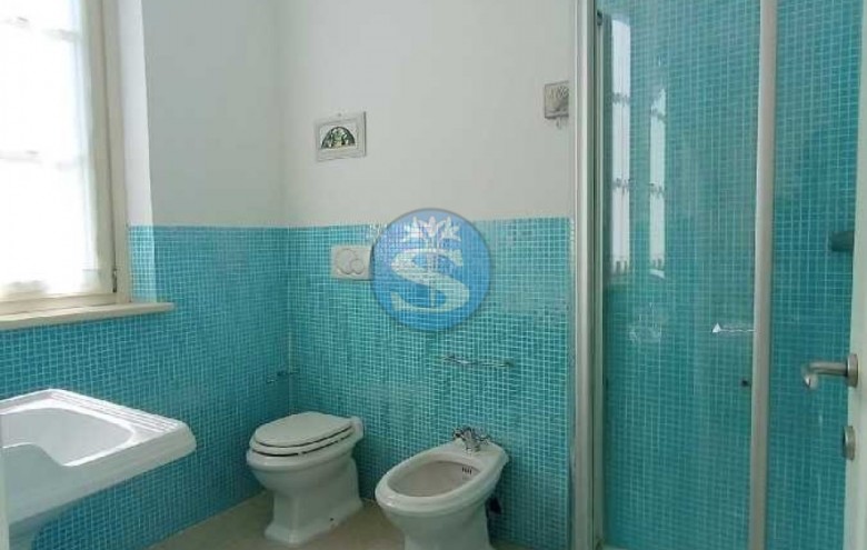 Appartamento in affitto a Pietrasanta