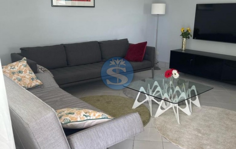 Villa singola in affitto a Pietrasanta