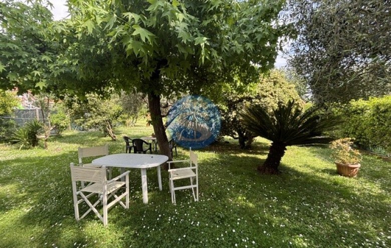 Villa singola in affitto a Pietrasanta