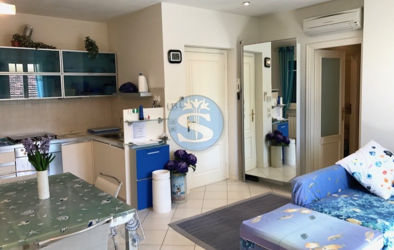 Appartamento in affitto a Pietrasanta