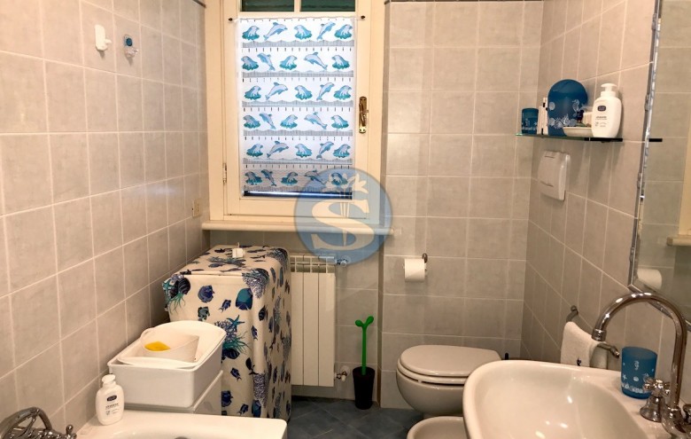 Appartamento in affitto a Pietrasanta