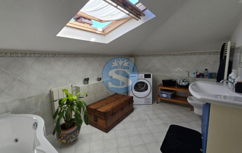 Villa singola in affitto a Pietrasanta