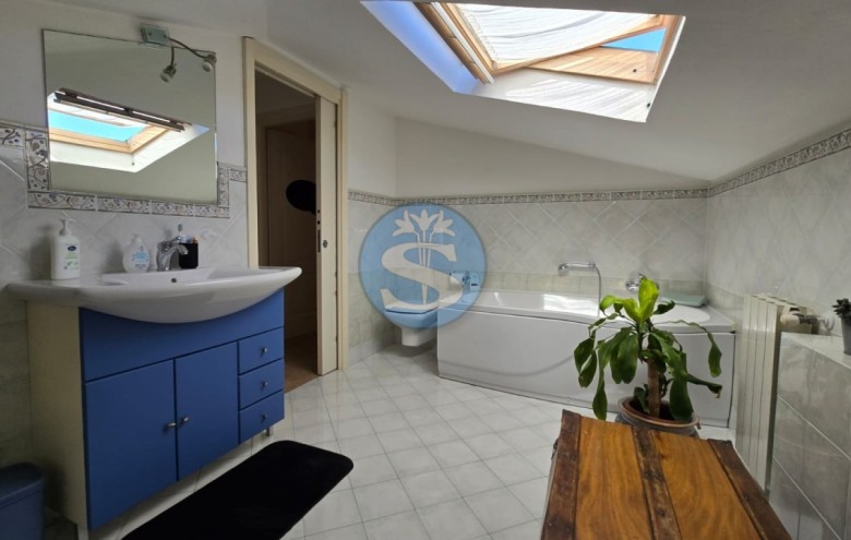 Villa singola in affitto a Pietrasanta