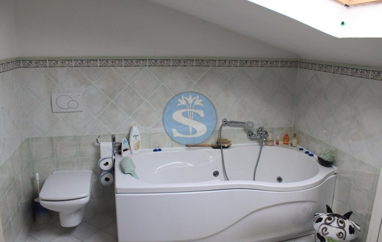 Villa singola in affitto a Pietrasanta