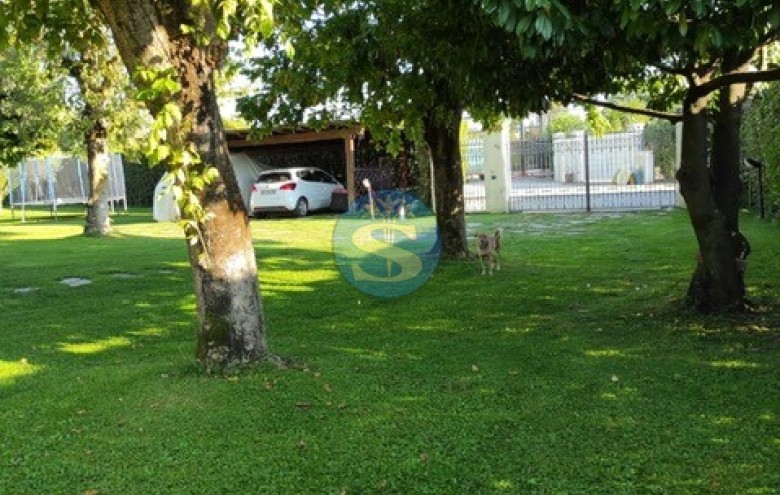 Villa singola in affitto a Pietrasanta