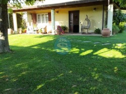 versilia-vicinanza-pietrasanta-bellissima-villa-affitto-luglio-ed-agosto-2025-rif