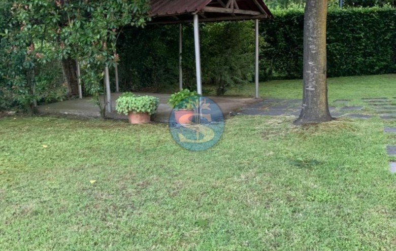 Villa singola in affitto a Pietrasanta
