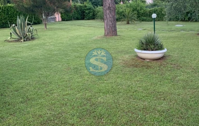 Villa singola in affitto a Pietrasanta