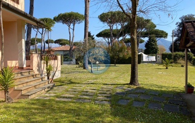 Villa singola in affitto a Pietrasanta
