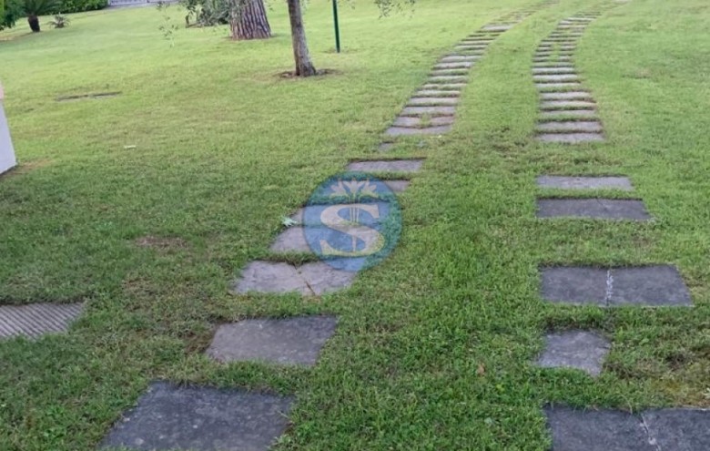 Villa singola in affitto a Pietrasanta