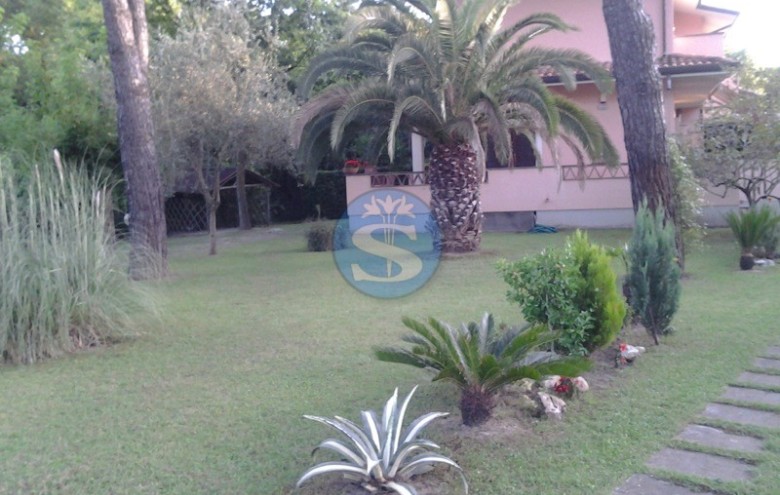 Villa singola in affitto a Pietrasanta