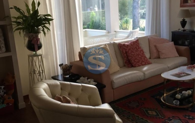 Villa singola in affitto a Pietrasanta