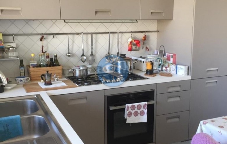 Villa singola in affitto a Pietrasanta