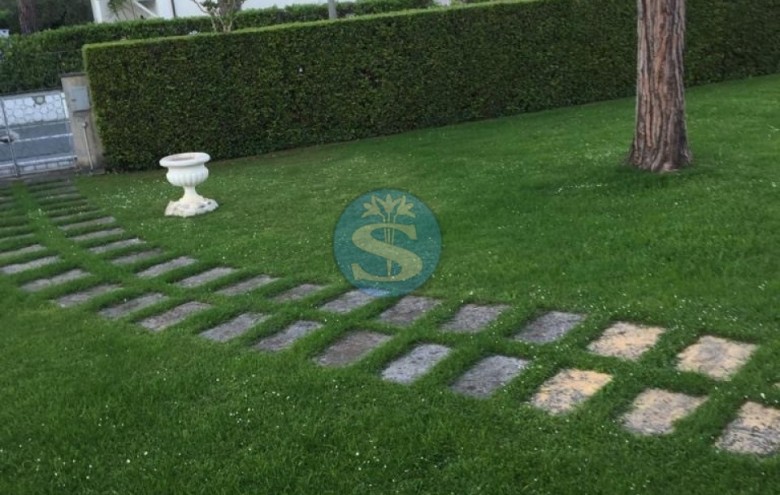 Villa singola in affitto a Pietrasanta