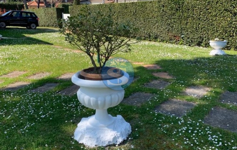 Villa singola in affitto a Pietrasanta