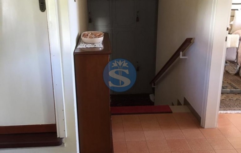 Villa singola in affitto a Pietrasanta