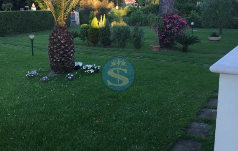 Villa singola in affitto a Pietrasanta