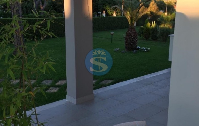 Villa singola in affitto a Pietrasanta