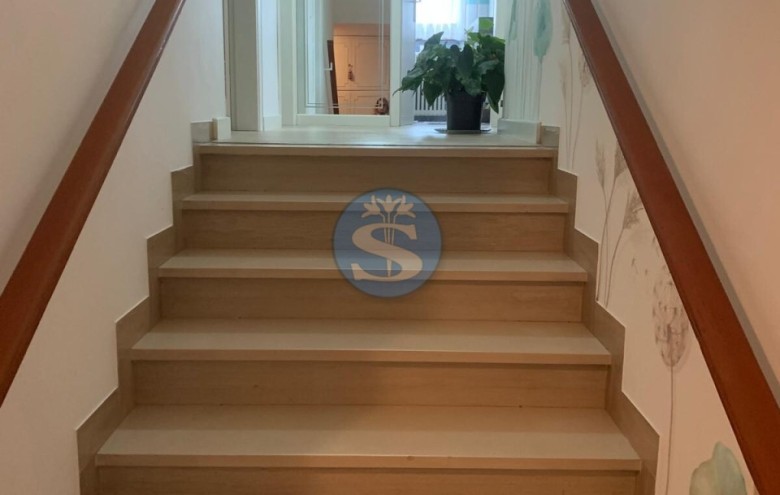 Villa singola in affitto a Pietrasanta