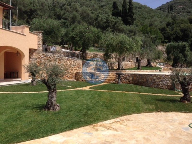 Villa singola in affitto a Pietrasanta
