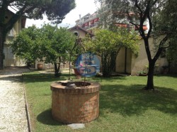 marina-di-pietrasanta-piccolo-appartamento-pterra-1-camera-e-divano-letto-sa44