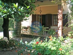 forte-dei-marmi-villetta-2-camere-zona-centrale-affitto-a-settimane-rif-sa503ic