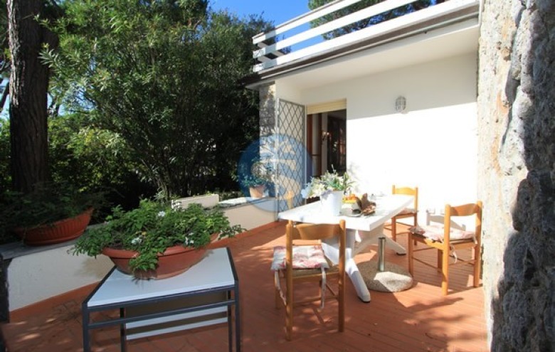 Villa singola in affitto a Forte dei Marmi