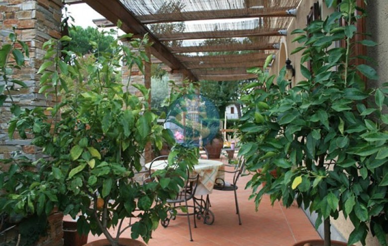 Villa singola in affitto a Forte dei Marmi