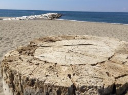 stabilimento-balneare