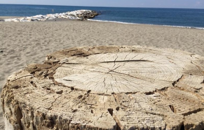 Stabilimento Balneare in vendita a Massa