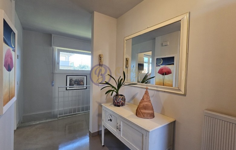 Villa singola in vendita a Seravezza