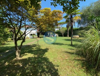 Villa singola in vendita a Marina di Pietrasanta